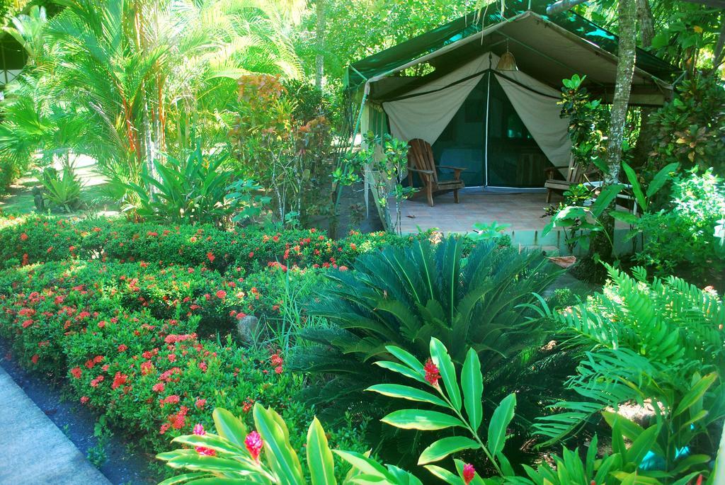 Rafiki Beach Camp Matapalo  Habitación foto